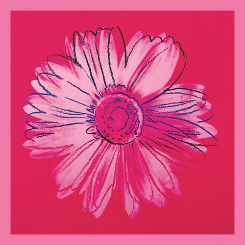 Daisy, c. 1982 (crimson and pink) Poster