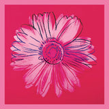 Daisy, c. 1982 (crimson and pink) Poster