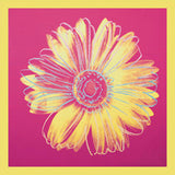 Daisy, c.1982 (fuchsia & yellow) Poster