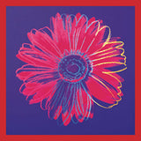 Daisy, c.1982 (blue & red) Poster