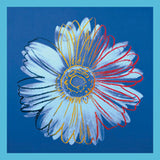 Daisy, c.1982 (blue on blue) Poster