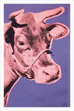 Cow, 1976 (pink & purple) Poster