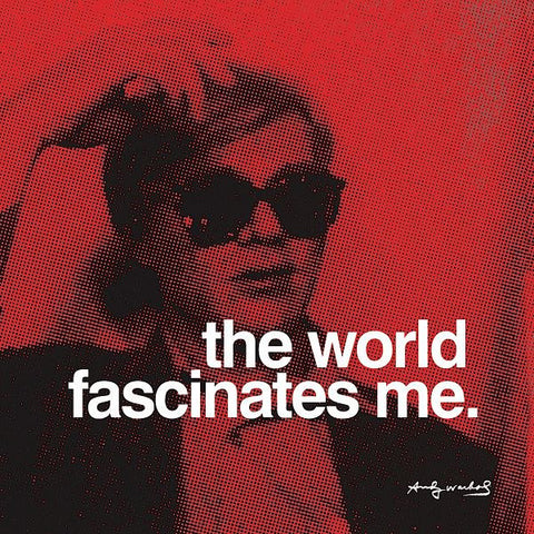 The world fascinates me  Poster