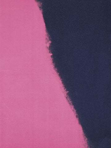 Shadows II, 1979 (pink) Poster