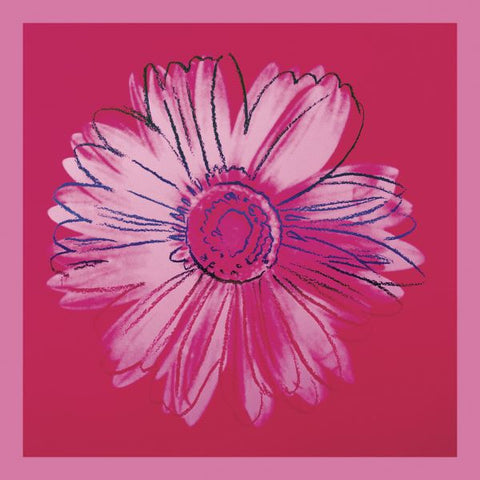 Daisy, c. 1982 (crimson and pink)  Poster